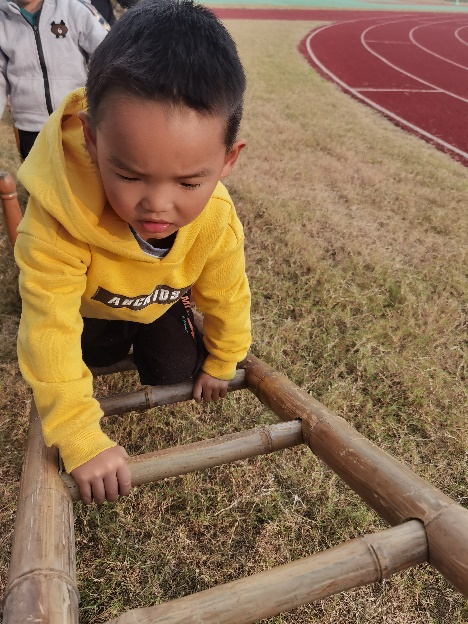 de61f52261304416ab04ae9304402756.Jpeg