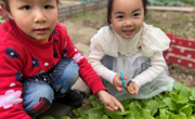 菜菜与元旦的邂逅