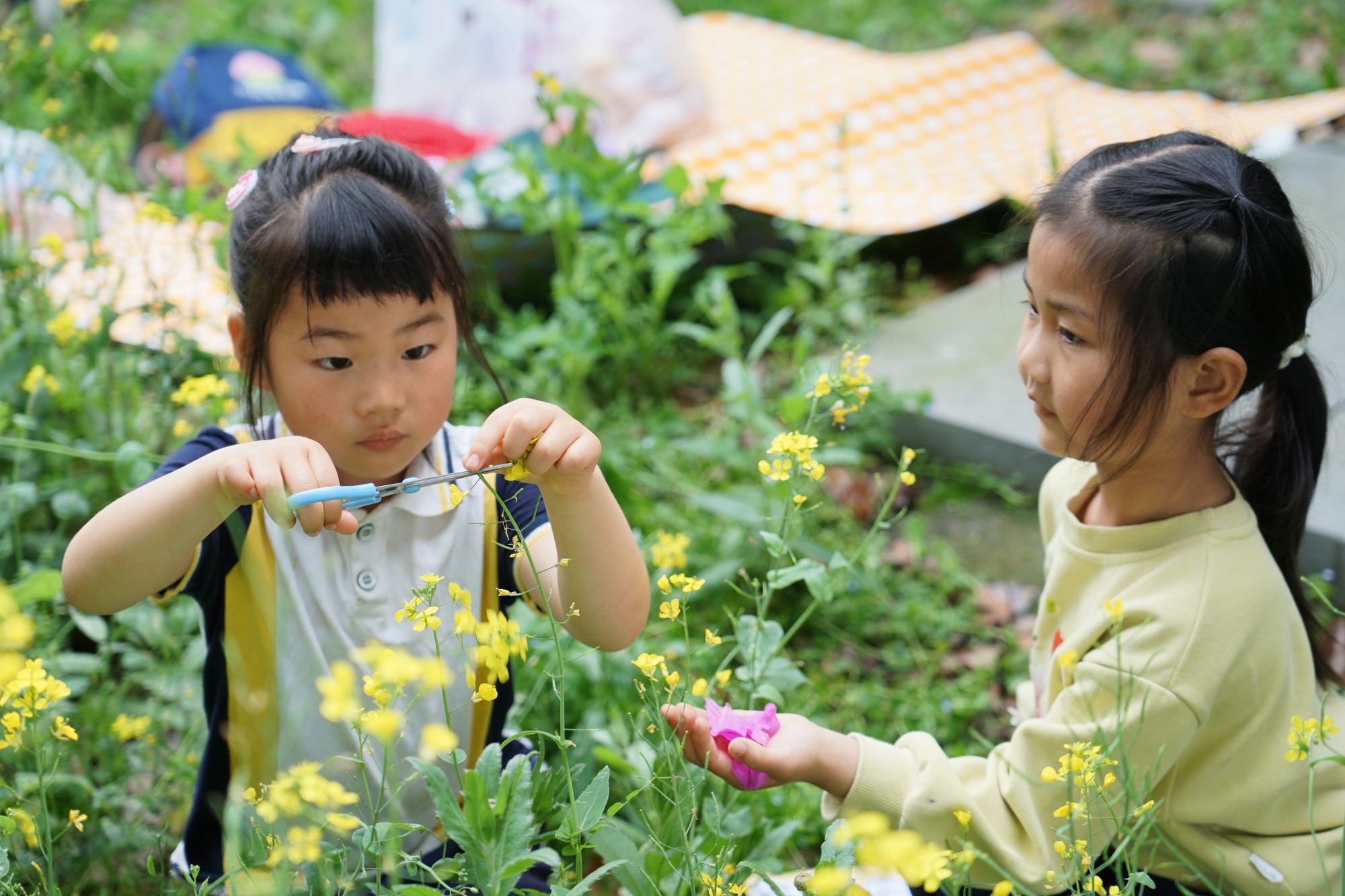 拾取自然 拥抱自然——吴中区车坊幼儿园春日周边游活动