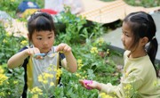 拾取自然 拥抱自然——吴中区车坊幼儿园春日周边游活动