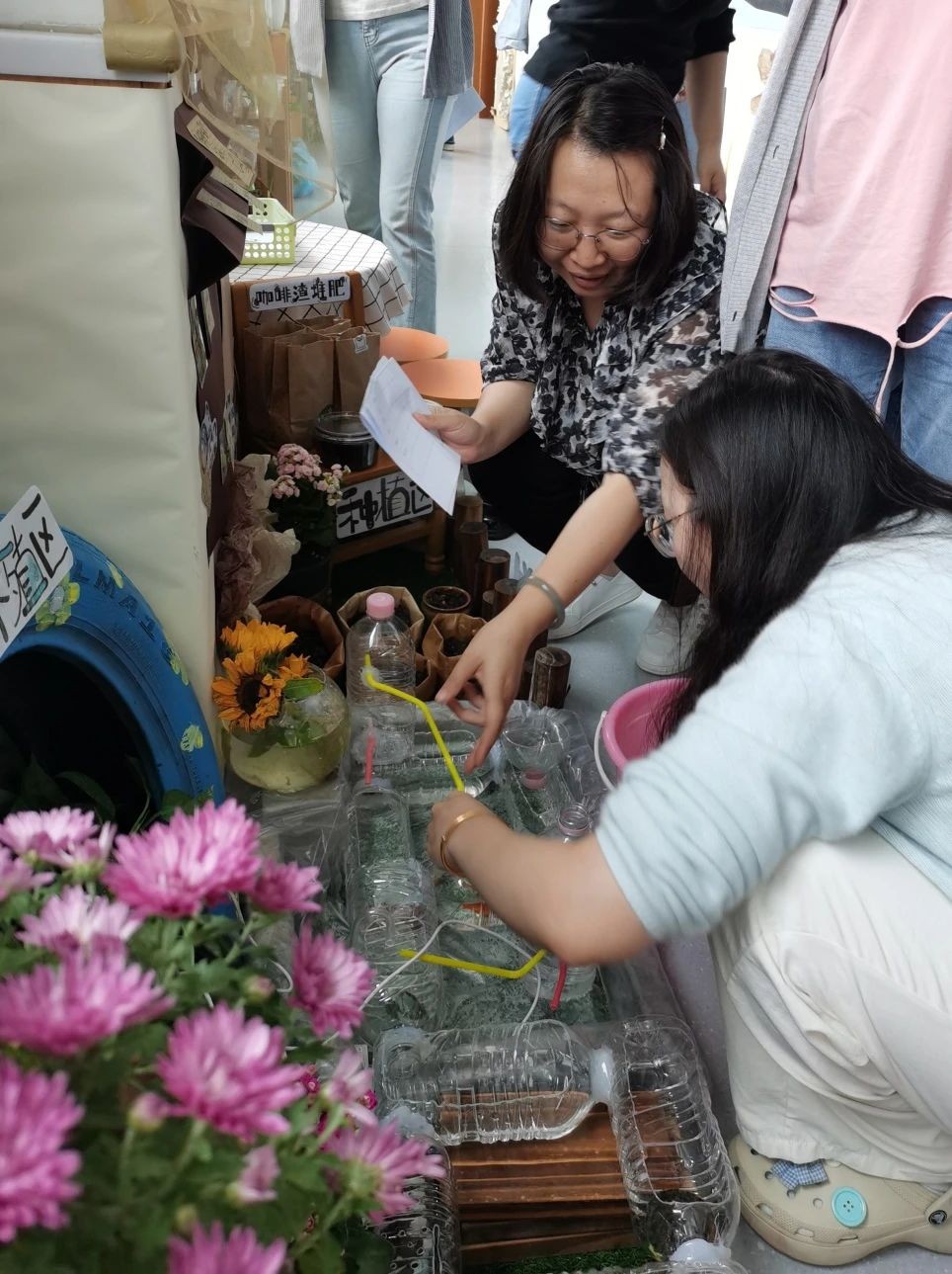 秋意盎然，觅自然之趣——吴中区车坊幼儿园自然角观摩活动