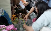 秋意盎然，觅自然之趣——吴中区车坊幼儿园自然角观摩活动