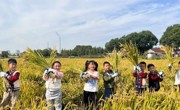 漫步澄湖之畔，共享秋收之乐——苏州市吴中区车坊幼儿园秋游活动