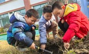 播种绿色 收获希望——吴中区车坊幼儿园植树节系列活动