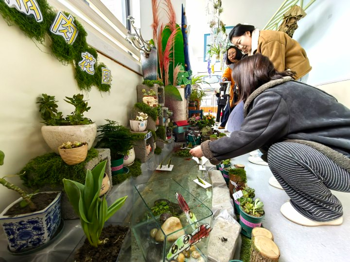 春日萌动 趣探自然——记吴中区车坊幼儿园自然角观摩活动